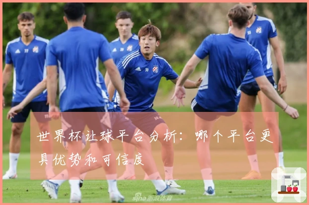 世界杯让球平台分析：哪个平台更具优势和可信度