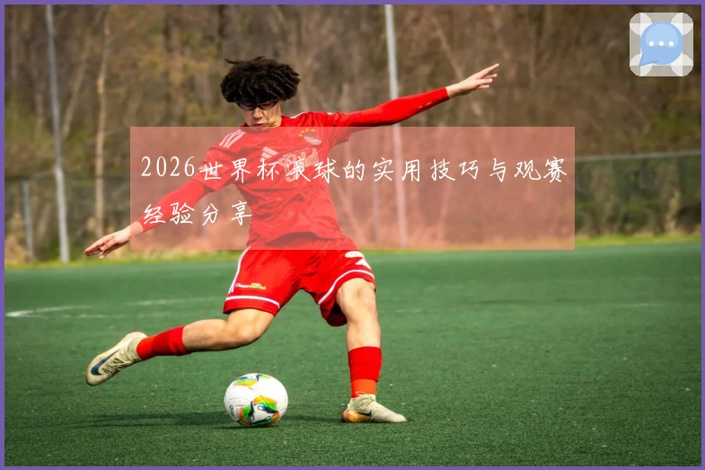 2026世界杯滚球的实用技巧与观赛经验分享