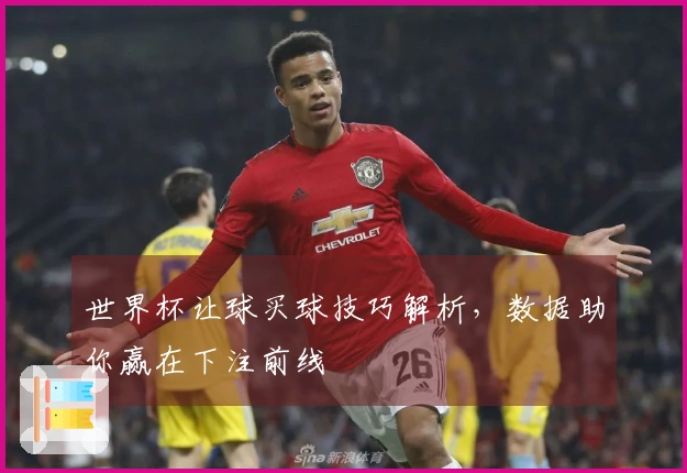 世界杯让球买球技巧解析，数据助你赢在下注前线