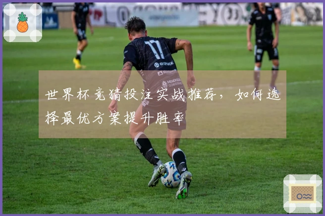 世界杯竞猜投注实战推荐，如何选择最优方案提升胜率