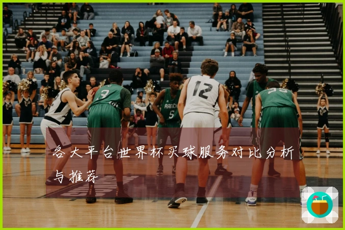 各大平台世界杯买球服务对比分析与推荐