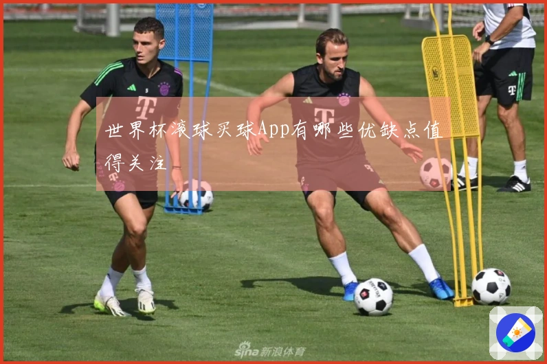 世界杯滚球买球App有哪些优缺点值得关注
