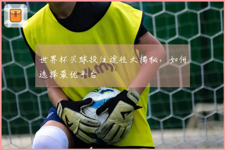 世界杯买球投注途径大揭秘，如何选择最优平台